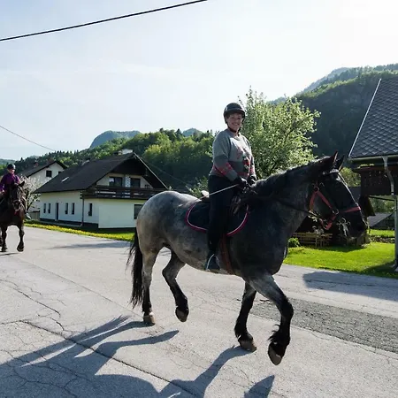 Pr' Kovac Appartement *